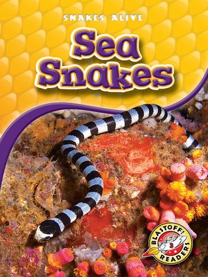 cover image of Sea Snakes